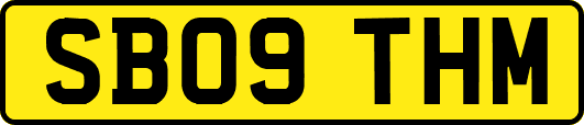 SB09THM