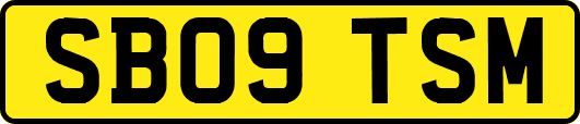 SB09TSM