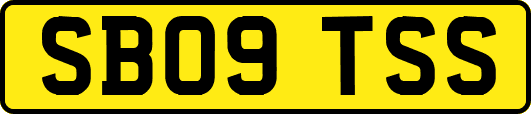 SB09TSS