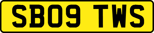 SB09TWS