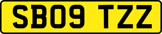 SB09TZZ
