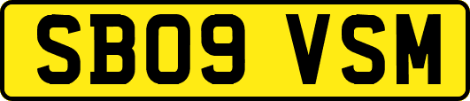 SB09VSM