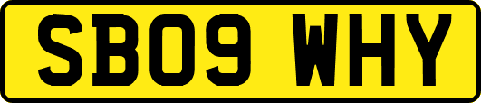 SB09WHY