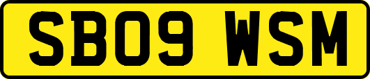 SB09WSM