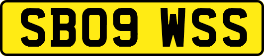 SB09WSS