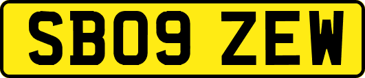 SB09ZEW