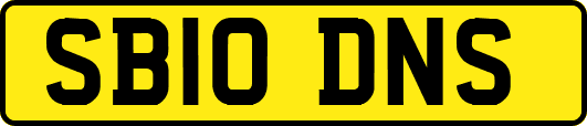 SB10DNS