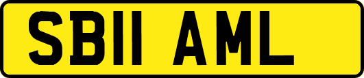 SB11AML