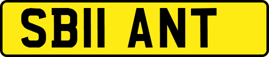 SB11ANT