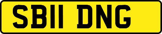 SB11DNG
