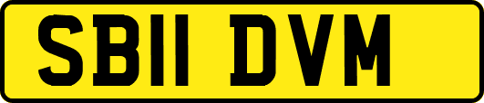 SB11DVM