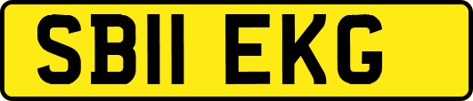 SB11EKG