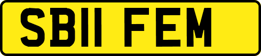 SB11FEM