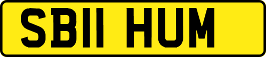 SB11HUM