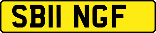 SB11NGF