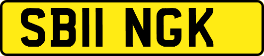 SB11NGK