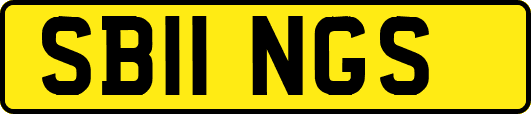 SB11NGS