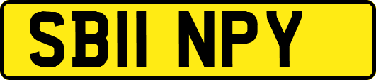 SB11NPY