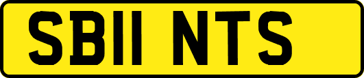 SB11NTS