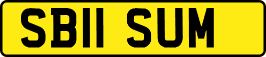 SB11SUM