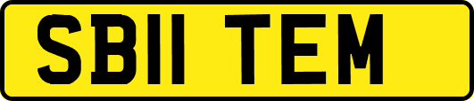 SB11TEM