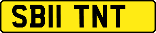 SB11TNT