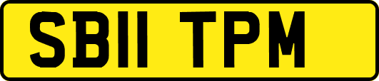SB11TPM