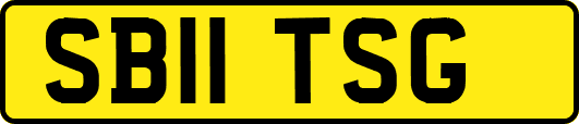 SB11TSG