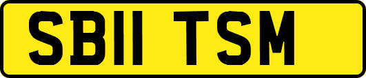 SB11TSM