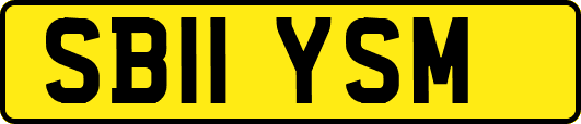 SB11YSM