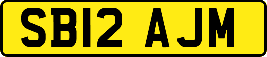 SB12AJM