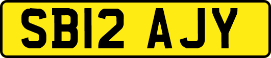 SB12AJY