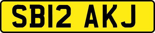 SB12AKJ
