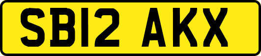 SB12AKX