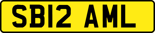 SB12AML