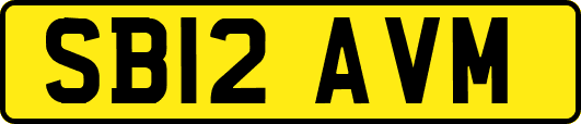 SB12AVM