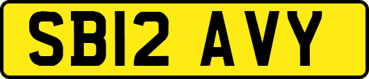 SB12AVY
