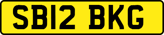 SB12BKG