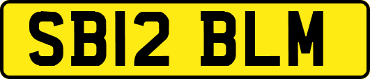 SB12BLM