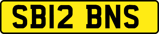 SB12BNS