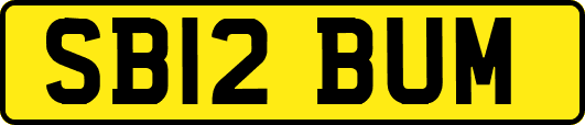 SB12BUM