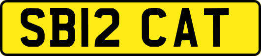 SB12CAT