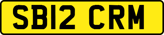 SB12CRM