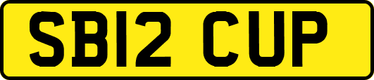 SB12CUP