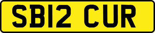 SB12CUR
