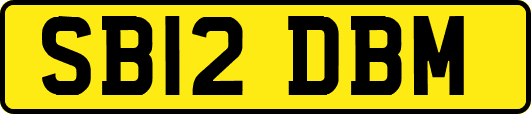 SB12DBM
