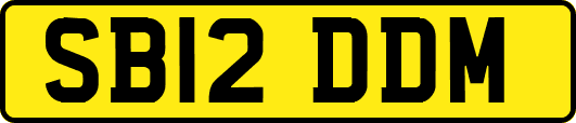 SB12DDM