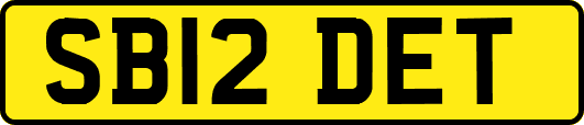 SB12DET