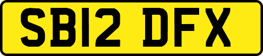 SB12DFX