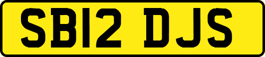SB12DJS